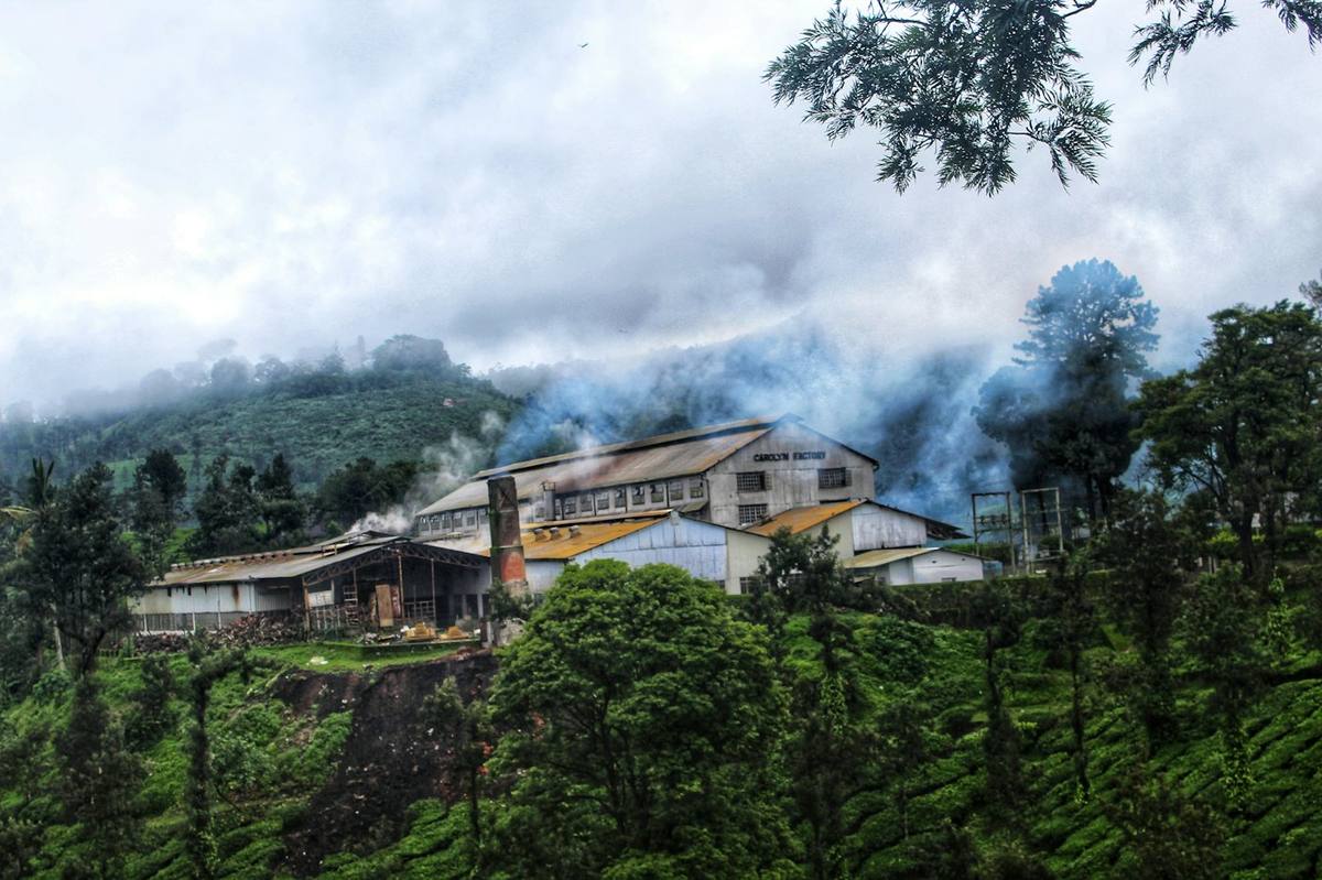 Tea factory on a hillside